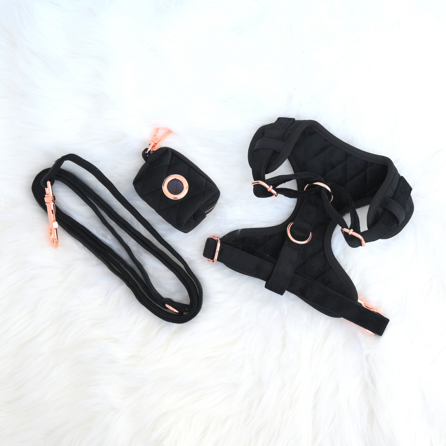 Black Velvet Harness Set for Small and Large Pets