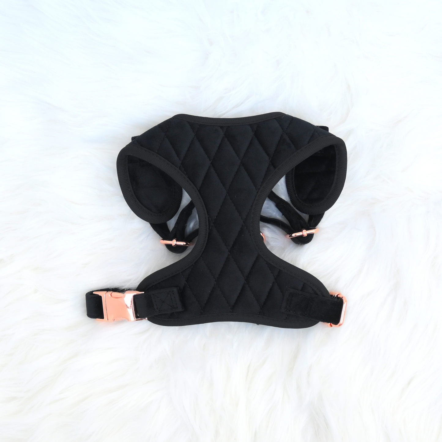 Black Velvet Harness Set for Small and Large Pets