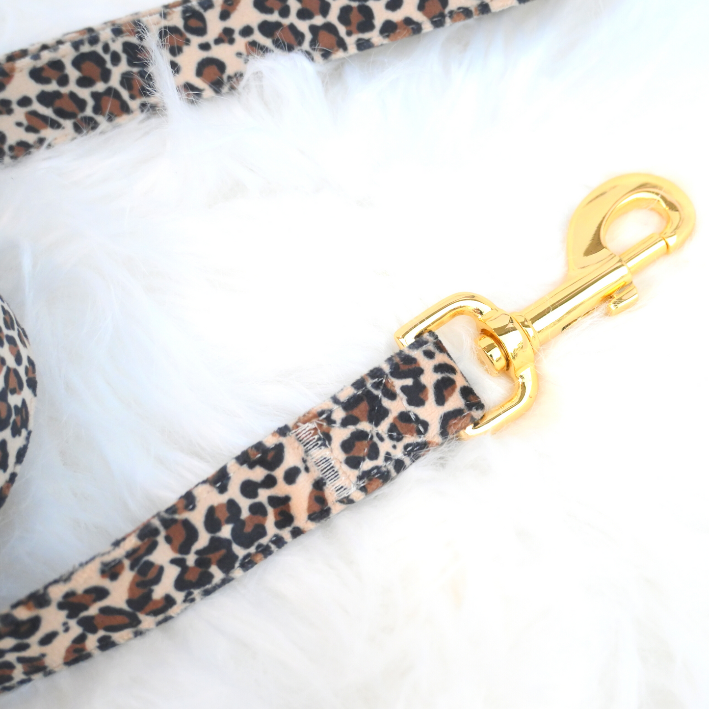 Leopard Print Harness Set for Small and Large Pets