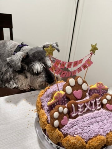 Mixed Berry Barkday Cake 🎂🐾