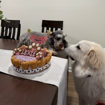 Mixed Berry Barkday Cake 🎂🐾