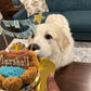 Mixed Berry Barkday Cake 🎂🐾