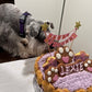 Mixed Berry Barkday Cake 🎂🐾