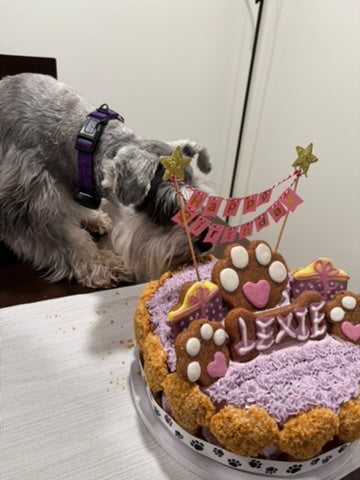 Mixed Berry Barkday Cake 🎂🐾