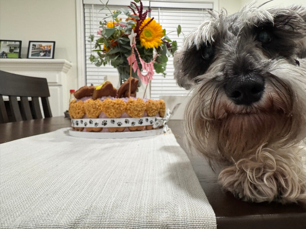 Mixed Berry Barkday Cake 🎂🐾