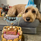 Mixed Berry Barkday Cake 🎂🐾