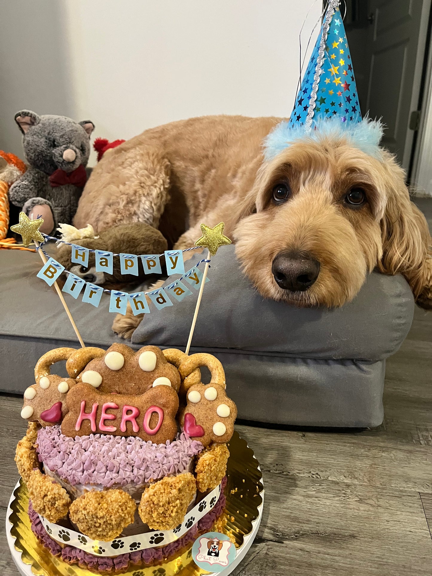 Mixed Berry Barkday Cake 🎂🐾