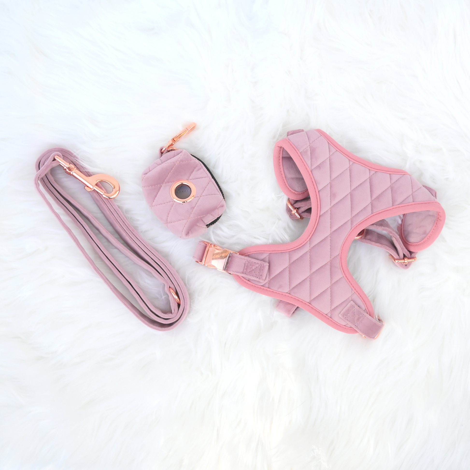 Pink Rose Harness Dress with Matching Leash