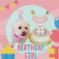 Mixed Berry Barkday Cake