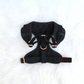 Black Velvet Harness Set for Small and Large Pets