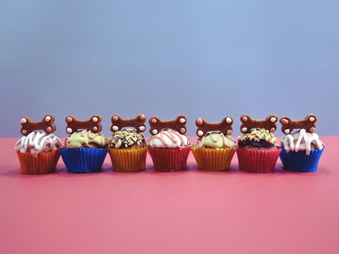Mini PupCake Marvel
